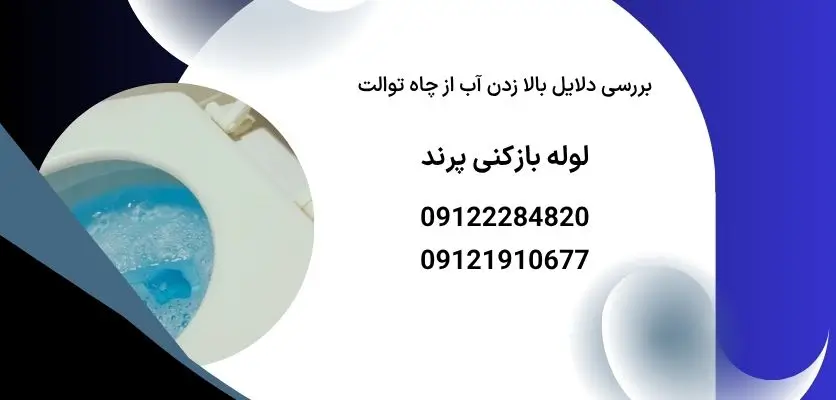 بررسی دلایل بالا زدن آب از چاه توالت